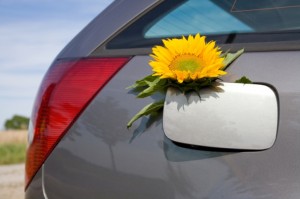iStock_Car_Eco & Sunflower_Small