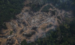 An aerial view of a deforested plot of the Amazon at the Bom Futuro National Forest in Porto Velho, Rondonia State, Brazil. Photograph: Nacho Doce/Reuters