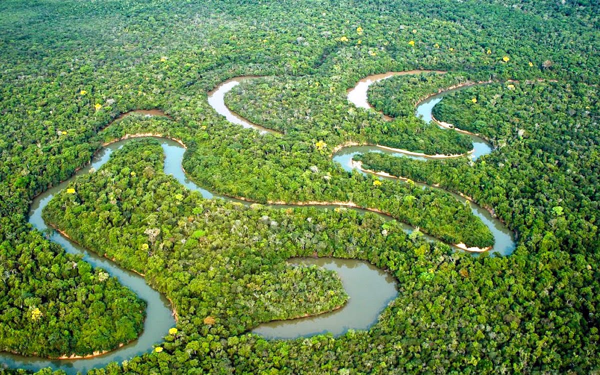 Вторая длиннейшая река. Река Амазонка в Бразилии. Южная Америка река Амазонка. Южная Америка Амазонская низменность. Бразилия Амазонская низменность.